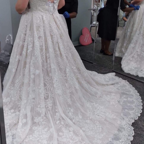 22W David's Bridal Wedding Dress - Picture 1 of 2